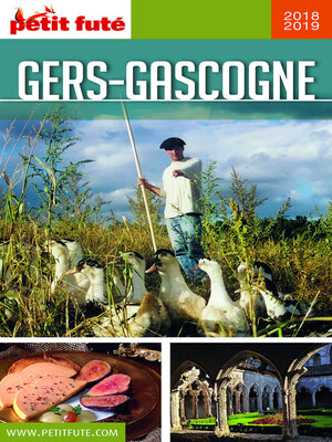 cover image of Gers Gascogne 2018/2019 Petit Futé